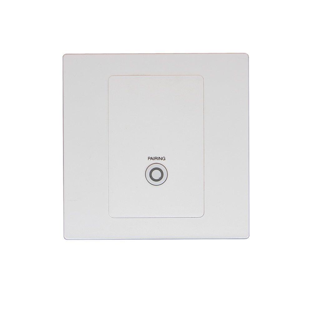 Bluetooth/Dante Wall Plate Interface